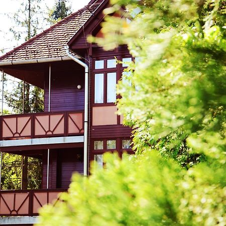 Ezüstfenyő Hotel Telkibánya Exterior foto