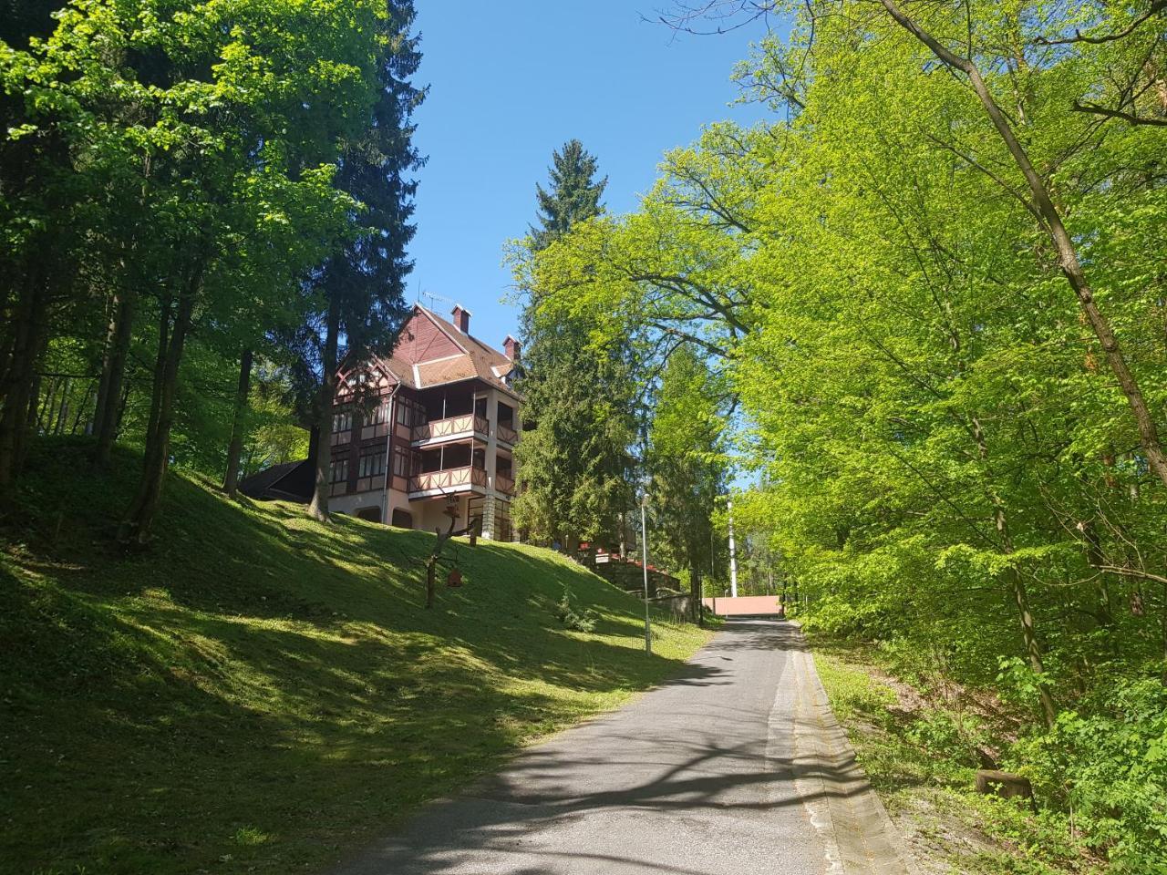 Ezüstfenyő Hotel Telkibánya Exterior foto